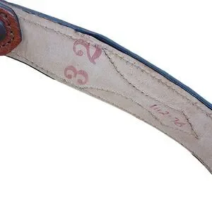Celebration Dallas Texas Genuine Python Snake Western Leather Belt Size 32 USA Celebration | Accessories | Celebration Dallas Texas Genuine  main image 3